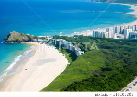 南国の名所でリゾート気分満喫 116103205