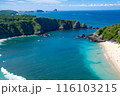 夏の南国で自然と海を満喫 116103215