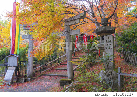 秋の京都 紅葉が美しい双林院(山科聖天) 秋の京都 紅葉が美しい双林院(山科聖天) 116103217