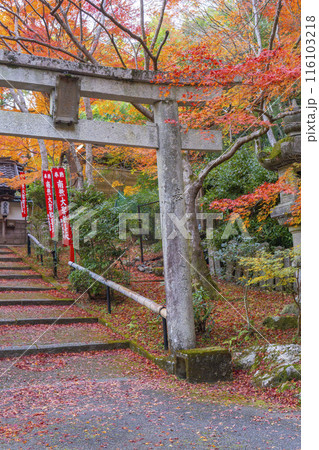秋の京都 紅葉が美しい双林院(山科聖天) 秋の京都 紅葉が美しい双林院(山科聖天) 116103218