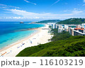日本の絶景海岸で観光を楽しむ 116103219