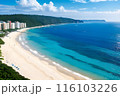 南国の海と自然を感じる旅 116103226