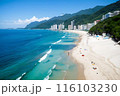 砂浜の風景に癒される夏の旅 116103230