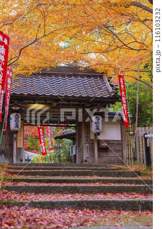 秋の京都 紅葉が美しい双林院(山科聖天) 秋の京都 紅葉が美しい双林院(山科聖天) 116103232