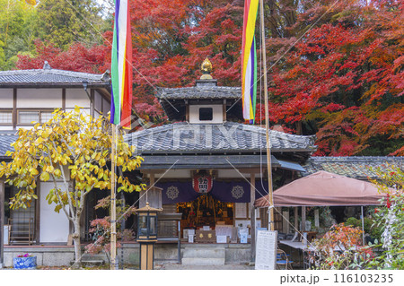 秋の京都　紅葉が美しい双林院（山科聖天）不動堂 116103235