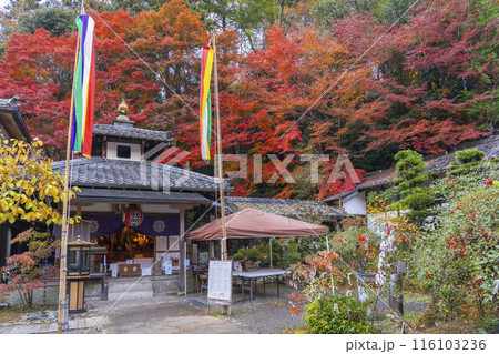 秋の京都　紅葉が美しい双林院（山科聖天）不動堂 116103236