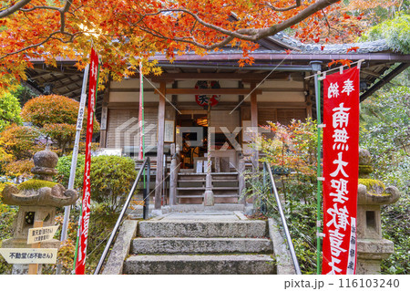 秋の京都　紅葉が美しい双林院（山科聖天）　聖天堂 116103240