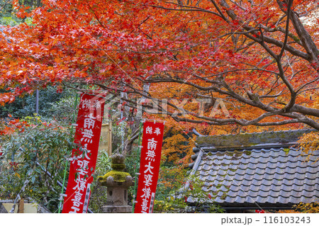 秋の京都　紅葉が美しい双林院（山科聖天） 116103243