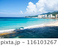 海と青空が織りなす絶景名所 116103267