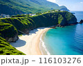 南国の島々で自然と海を楽しむ 116103276