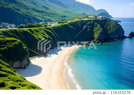 南国の島々で自然と海を楽しむ 116103276