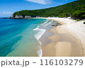 青空広がるビーチで夏を満喫 116103279
