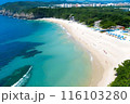 海と自然に包まれる南国の旅 116103280