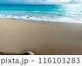 快晴の南国で自然と海を満喫 116103283