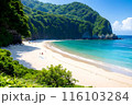 青空と海が広がる絶景ビーチ 116103284