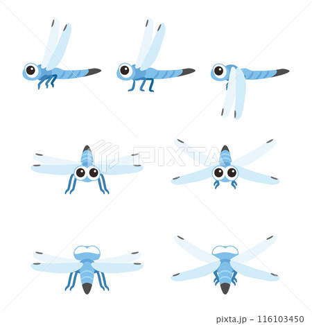 シオカラトンボセット 116103450