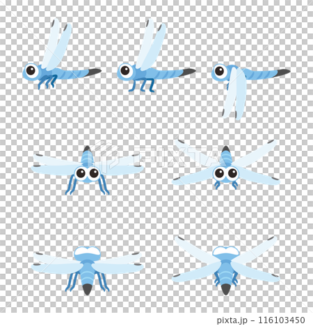 シオカラトンボセット 116103450