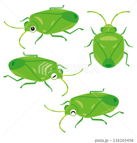 カメムシセット 116103456