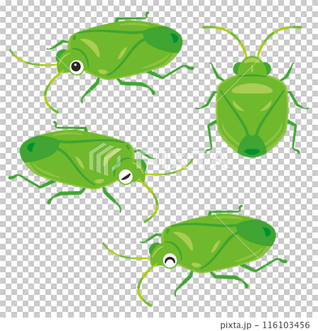 カメムシセット 116103456