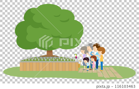 一家人來到墓園掃墓，舉行樹葬 116103463