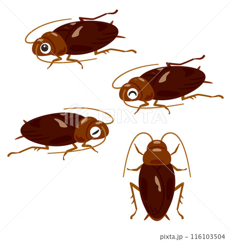 ゴキブリセット ゴキブリセット 116103504