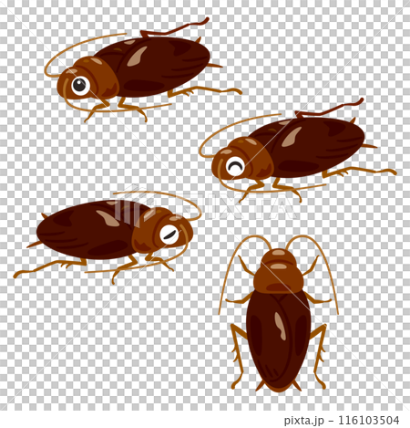 ゴキブリセット ゴキブリセット 116103504