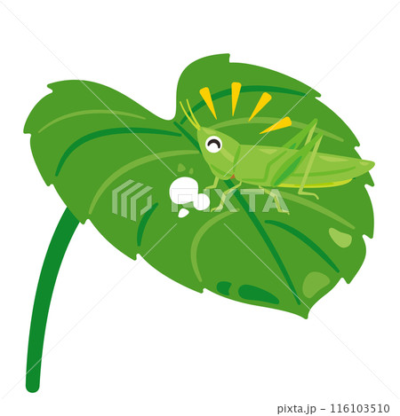 葉っぱを食べるショウリョウバッタ 116103510