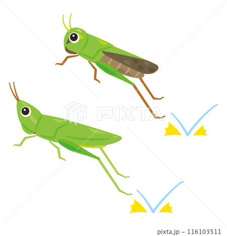 ジャンプするバッタ 116103511