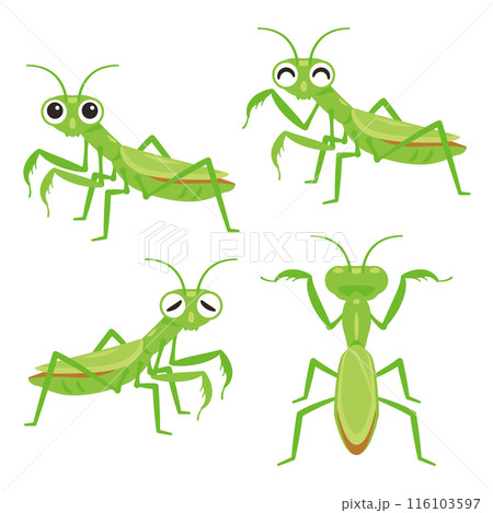 カマキリセット カマキリセット 116103597