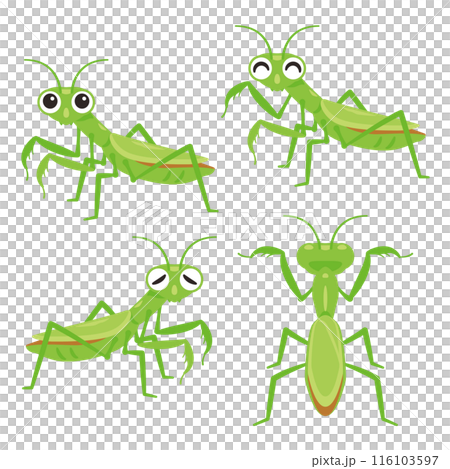 真納基重置 真納基重置 116103597