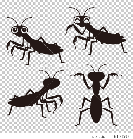 Mantis silhouette 116103598