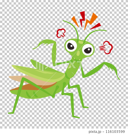 威嚇するカマキリ 威嚇するカマキリ 116103599