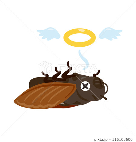 セミの死骸イラスト 116103600