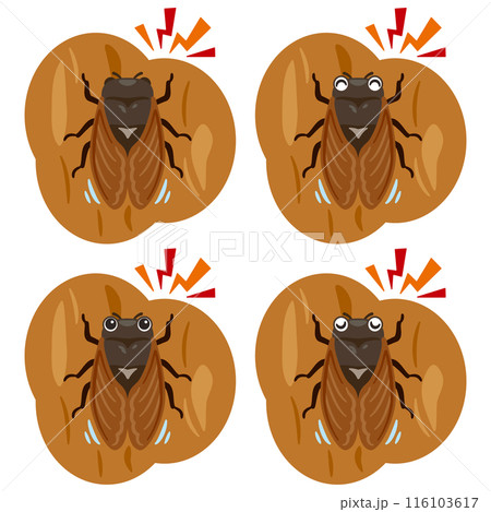 鳴くセミセット 116103617