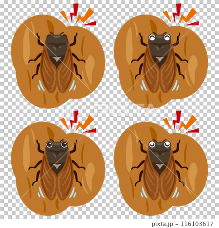 鳴くセミセット 116103617