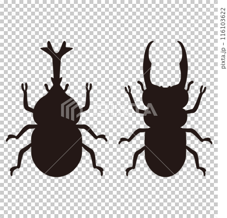 雄性甲蟲和鍬蟲剪影 雄性甲蟲和鍬蟲剪影 116103622