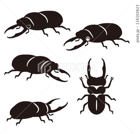オスのクワガタムシのシルエット オスのクワガタムシのシルエット 116103623