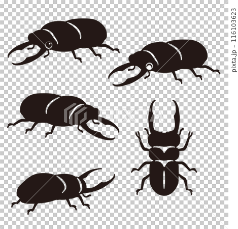 オスのクワガタムシのシルエット オスのクワガタムシのシルエット 116103623