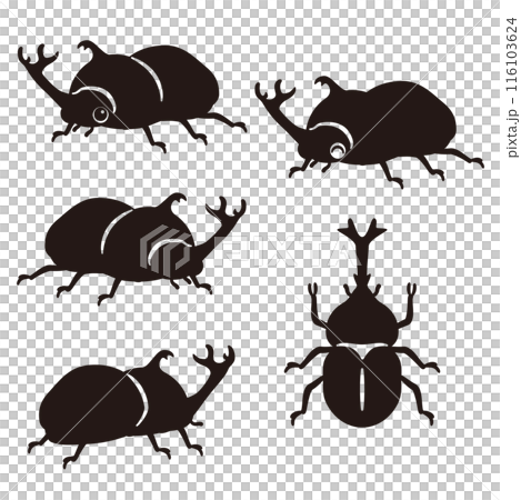 雄性甲蟲剪影 雄性甲蟲剪影 116103624