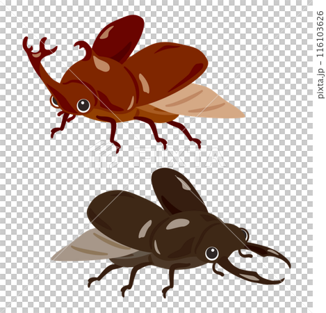 飛ぶカブトムシとクワガタムシ 116103626