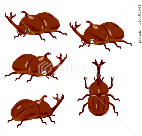 オスのカブトムシセット 116103641