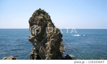 奇岩に咲くオレンジ色の岩ユリの花 奇岩に咲くオレンジ色の岩ユリの花 116103647