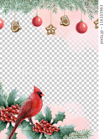 Vertical Christmas greeting card template with red cardinal bird, holly berries and pine branches with decoration. Hand drawn watercolor illustration for A5 or A4 postcard with copy space Vertical Christmas greeting card template with red cardinal bird, holly berries and pine branches with decoration. Hand drawn watercolor illustration for A5 or A4 postcard with copy space 116103963