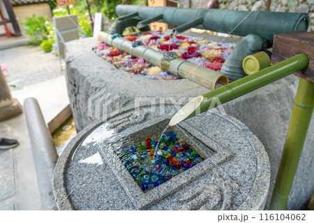 奈良県明日香村　明日香にある岡寺の花手水 116104062