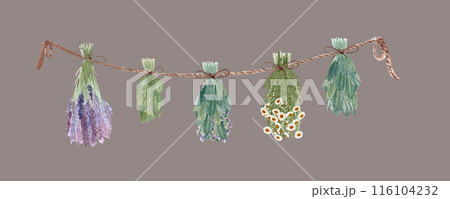 Different herbs drying hanging on a rope. Chamomile, lavender, sage, lemon balm watercolor border isolated on muted brown. High quality art for cards, packages, folk medicine recipes, herbal design 116104232