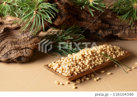 Peeled pine nuts with cedar snags and green branches. Peeled pine nuts with cedar snags and green branches. 116104390