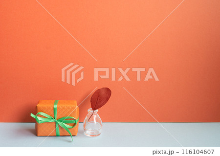 Orange gift box and vase of plant on gray desk. red wall background Orange gift box and vase of plant on gray desk. red wall background 116104607