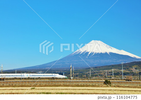 静岡県　青空の富士山と新幹線 116104775