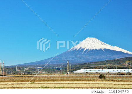 静岡県　青空の富士山と新幹線 116104776