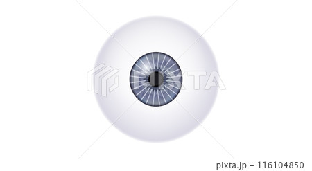 Iris medical poster 116104850